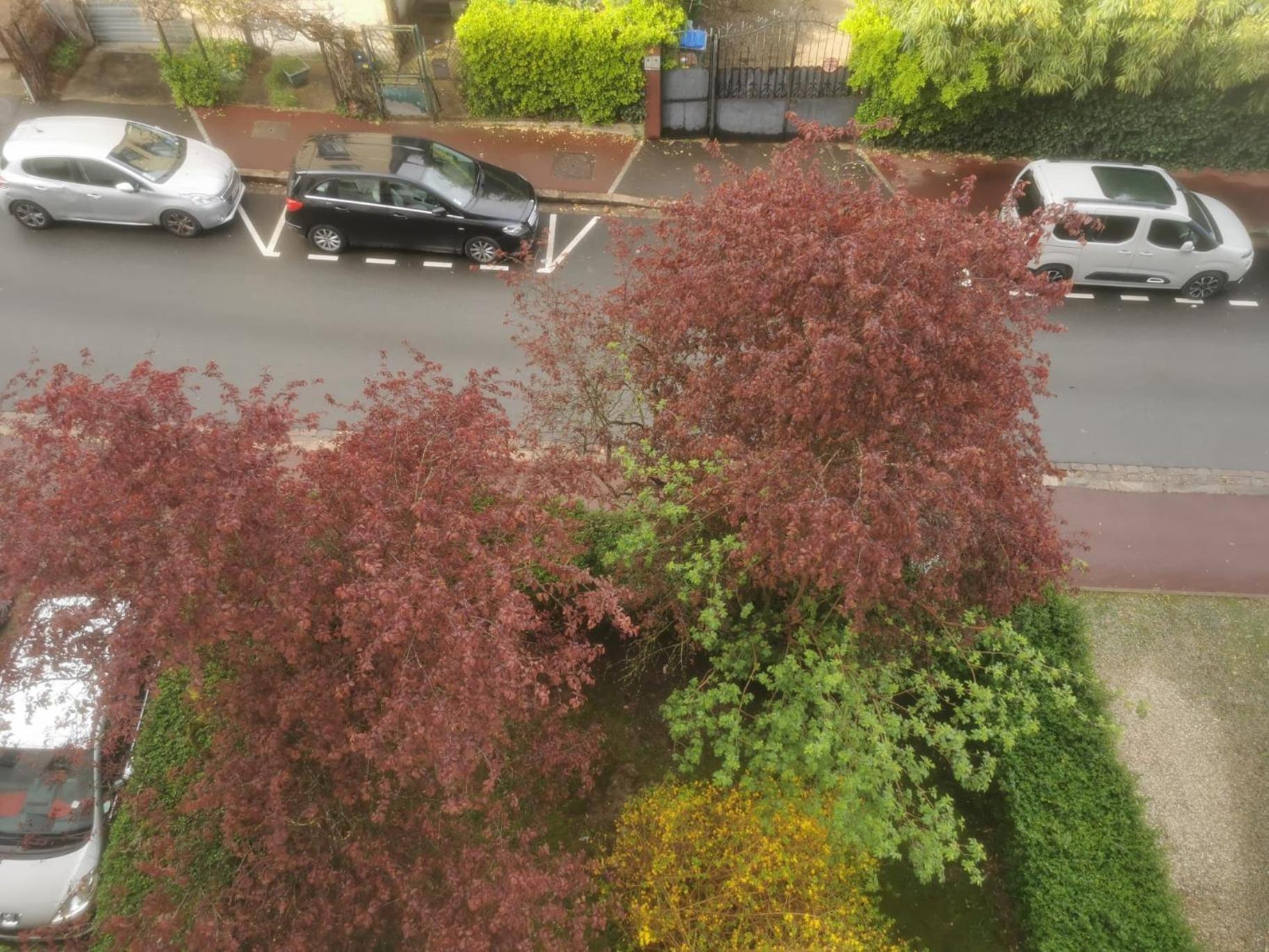 Appartement 3 Pieces A Seulement 5Km De Paris - For 2 To 7 Guests ! Fontenay-aux-Roses Exterior foto
